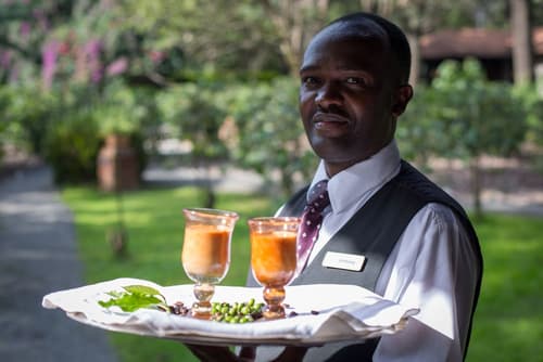 Elewana Arusha Coffee Lodge, Reception