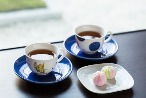 Hoshino Resorts KAI Kaga, Room