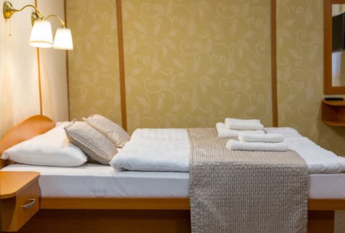 Grand Jules Boat Hotel Budapest, Room