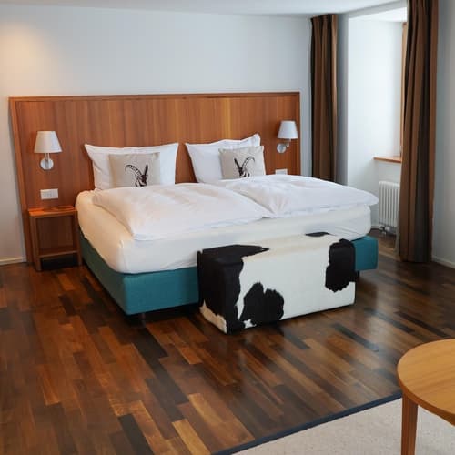 Hotel Pilatus Kulm, Room