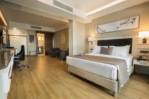 Radisson Blu Hotel Diyarbakir, Room