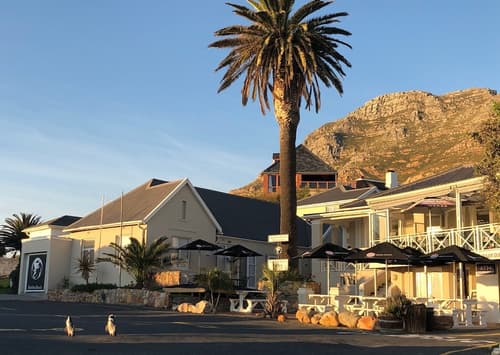 Boulders Beach Hotel, Cafe and Curio, Primary image