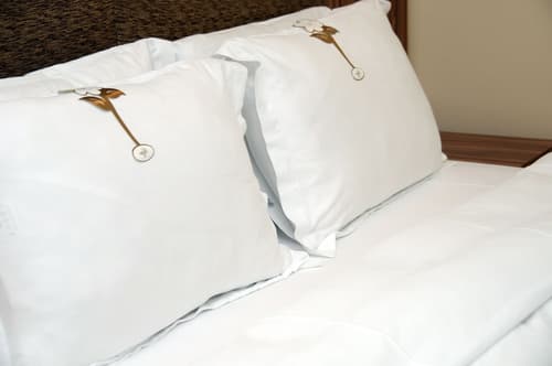 Tehran Boutique Hotel, Room