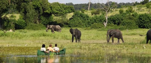 Chobe River Camp, Game viewing