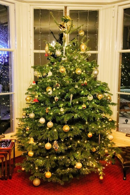 Westlands of Pitlochry, Reception