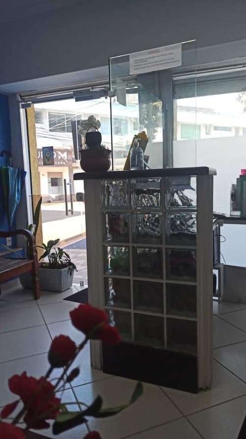 365 Hostel, Reception