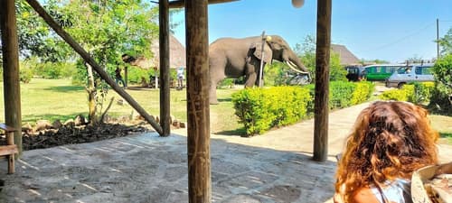 Engiri Game Lodge and Campsite, Reception