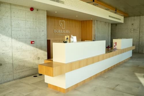 Borralha Hotel, Restaurante & Spa, Reception