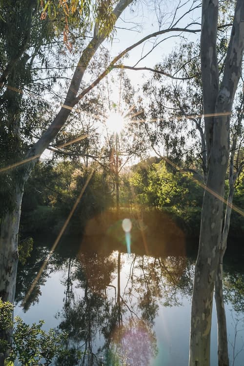 River Terrace Inn - A Noble House Hotel, View from room