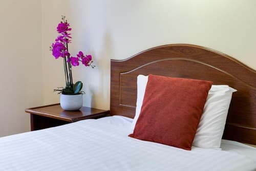 Oranmore Lodge Hotel, Conference and Leisure Centre, Room