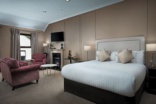 Oranmore Lodge Hotel, Conference and Leisure Centre, Room