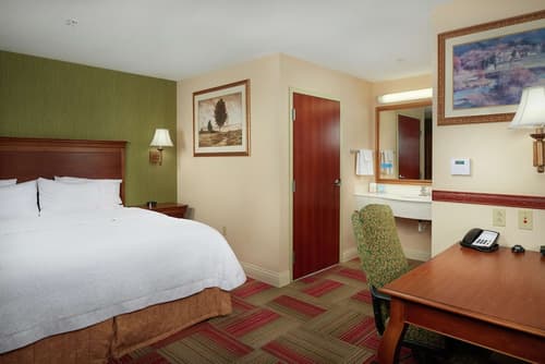 Hampton Inn & Suites Roswell, Room