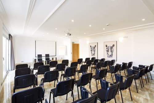 Sercotel President, Meeting facility