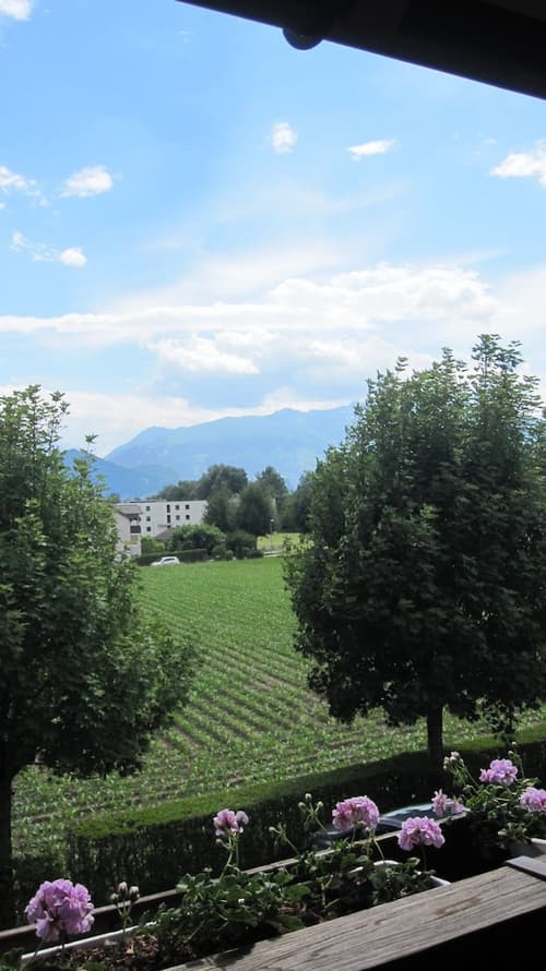Hotel Schatzmann, Pool