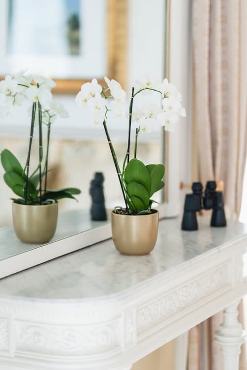 Grand Hotel National, Room