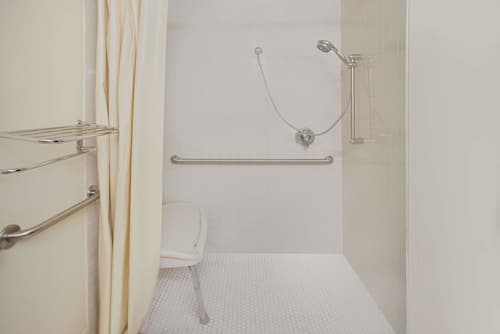 Microtel Inn & Suites by Wyndham Holland, Bathroom shower