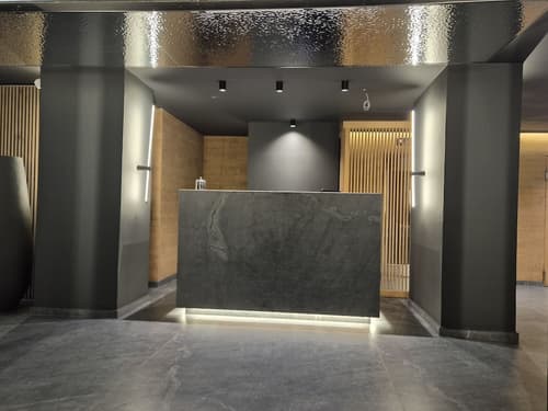 The Alassia Hotel, Reception