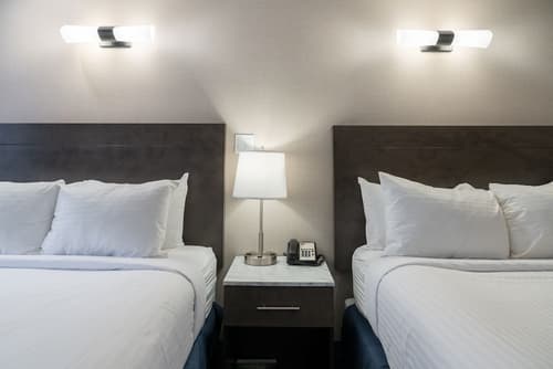 Red Carpet Inn, Room