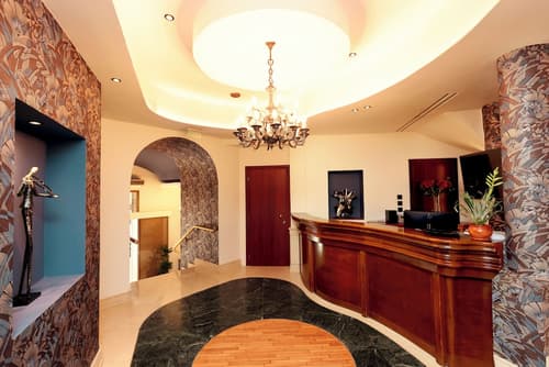 Zeus Essence Bucharest Opera, Reception