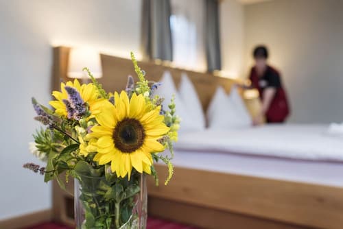 Sunstar Hotel Klosters, Room