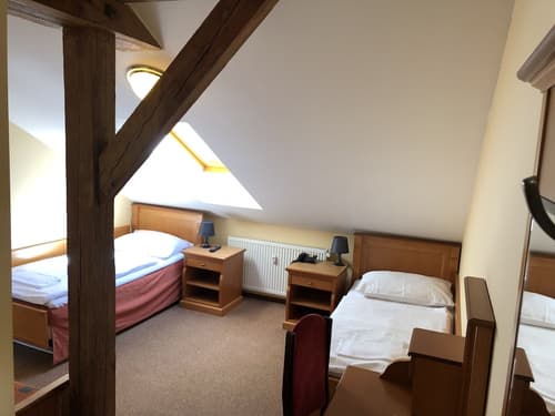 Pension Brezina Prague, Room