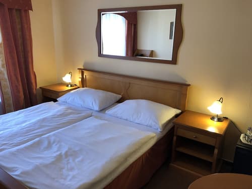 Pension Brezina Prague, Room