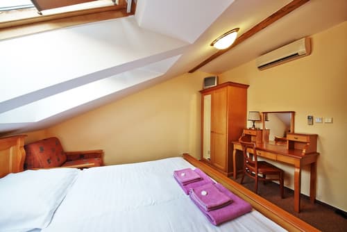 Pension Brezina Prague, Room