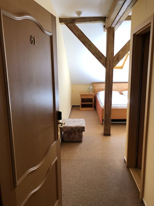 Pension Brezina Prague, Room