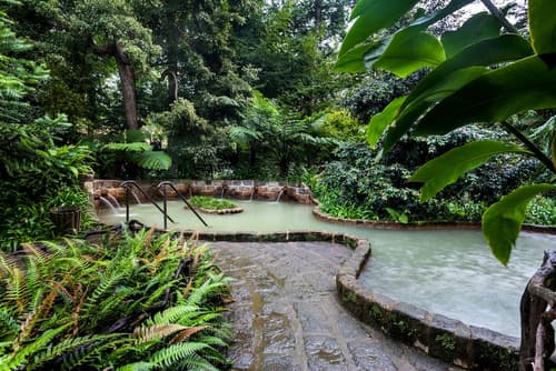 Terra Nostra Garden Hotel, Natural pool