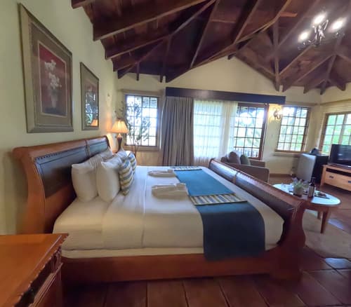 Borinquen Thermal Resort, Room