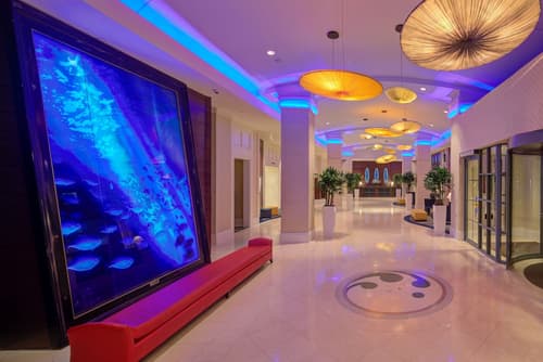 Hilton Virginia Beach Oceanfront, Lobby