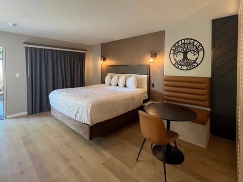 Lamp Liter Inn Visalia, an Ascend Collection Hotel, Primary image