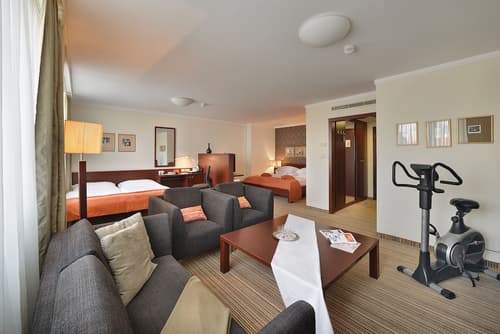 Apollo Hotel Bratislava, Room