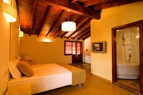 Alp Pasa Hotel - Special Class, Room