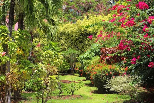 Coco Palm, View from room