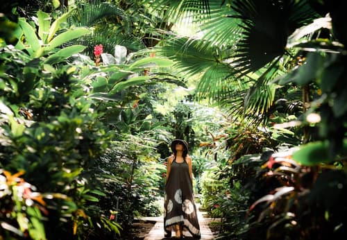 Bahia del Sol Beach Front Boutique Hotel, Property grounds