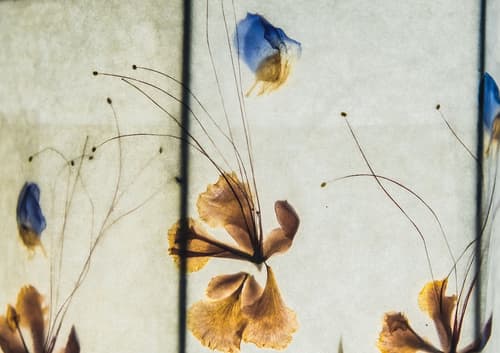 Bahia del Sol Beach Front Boutique Hotel, Room