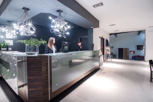 Petit Palace President Castellana, Reception