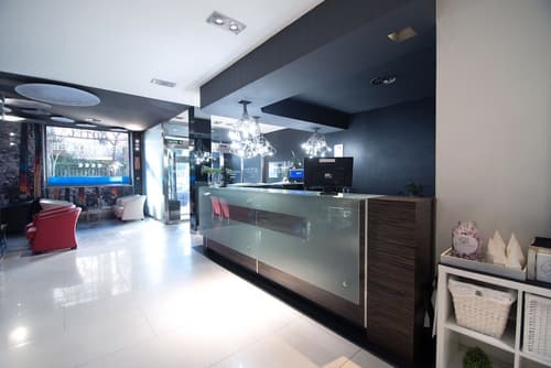 Petit Palace President Castellana, Reception