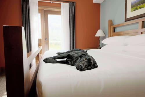 Spirit Ridge, in The Unbound Collection by Hyatt, Room