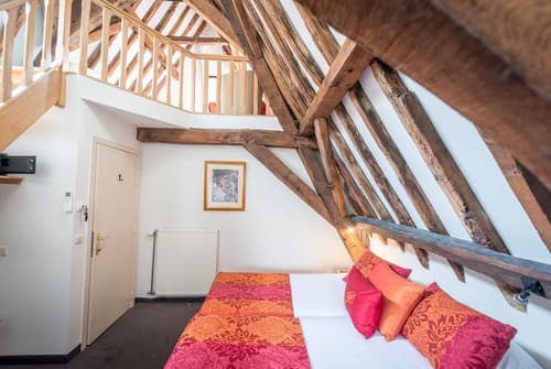 Hotel Jan Brito, Room