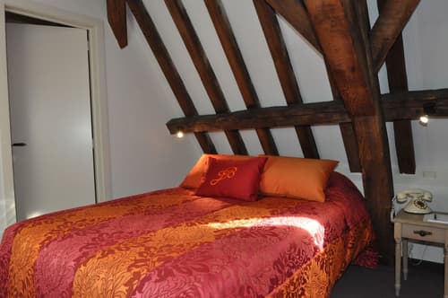 Hotel Jan Brito, Room