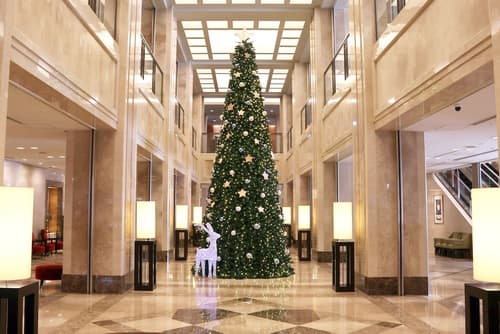 Hotel Nikko Nara, Lobby