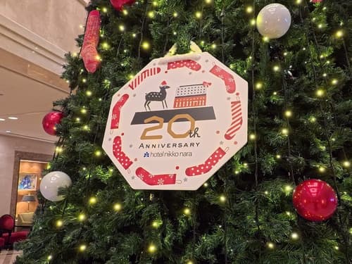 Hotel Nikko Nara, Lobby