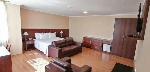Fenix Hotel, Room
