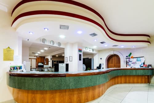 Topaz Hotel, Reception