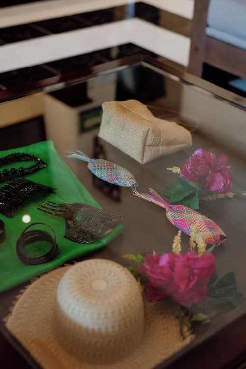 Hotel Plaza Campeche, Reception