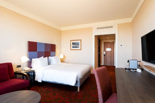 Hotel Paris Marne La Vallee, Room