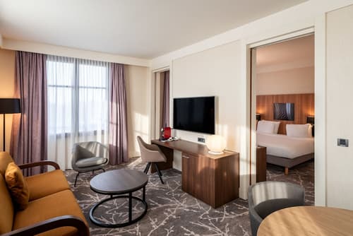 Radisson Blu Hotel Paris, Marne-la-Vallée, Room