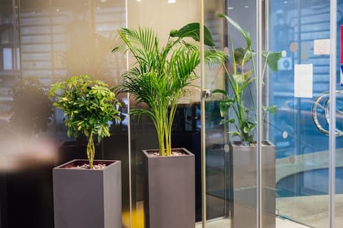 Peakture Hotel Bucharest, Interior entrance